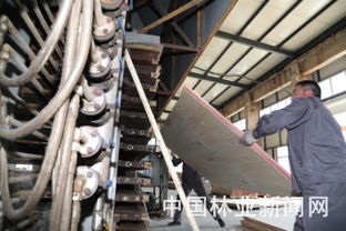 告別斧鋸，森工轉(zhuǎn)型 餐飲服務(wù)開(kāi)辟綠色新紅利